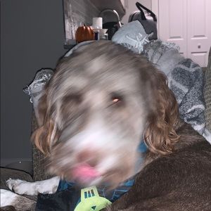 Meet your Posher, Sara